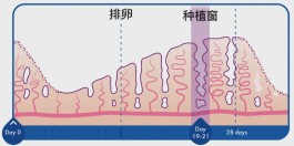 试管种植窗怎么检测 这3种方法比较常见