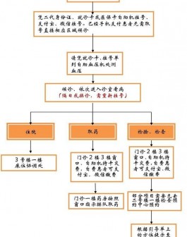 邵逸夫试管就诊指南 简单6个步骤完成全部流程