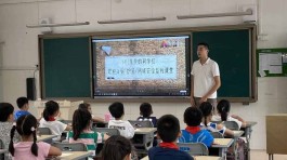 小学生文明上网八句话（争做网络安全小“达”人）